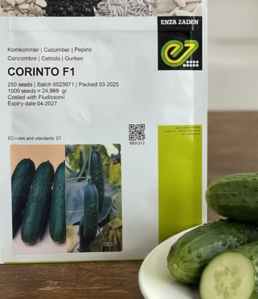 Concombre corinto 250 graines F1
