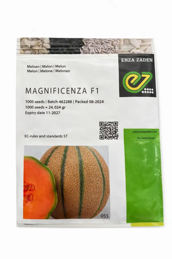Melon magnificenza 1000 graines F1