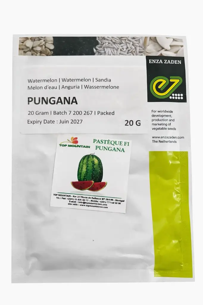 Pastèque pungawa 20g F1