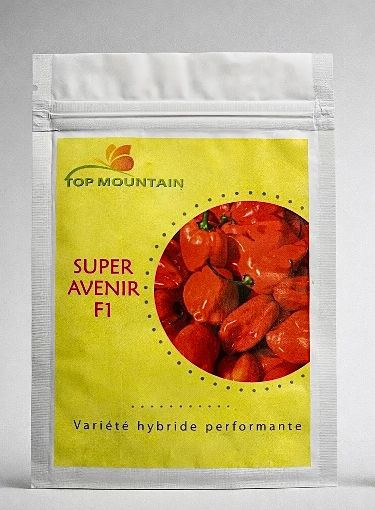 Super avenir 500 graines F1