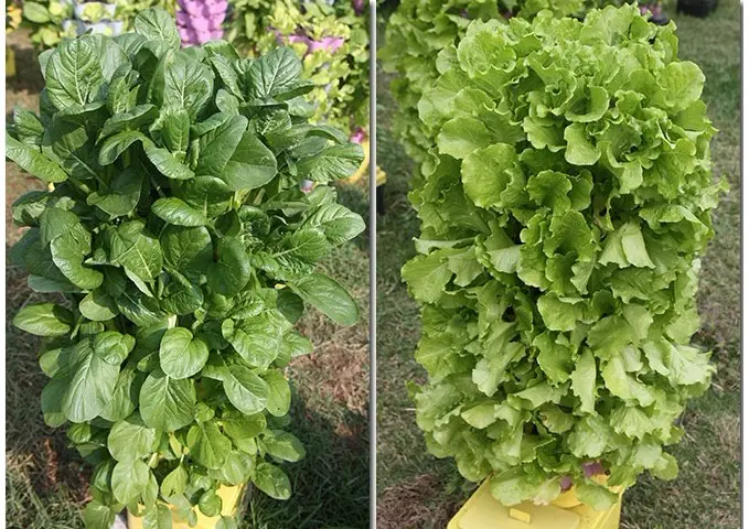 Système manuel hors sol 