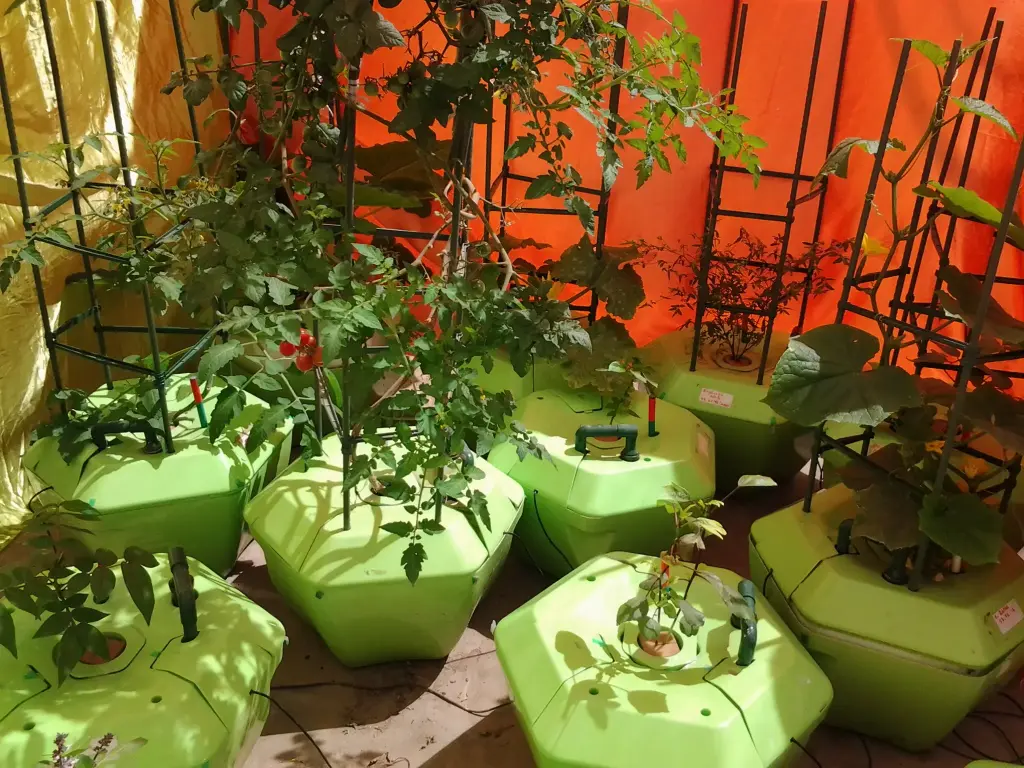 Système hydroponique ballon