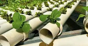 Système hydroponique 2 tubes de 6m Long