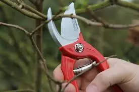 Sécateur pince rouge