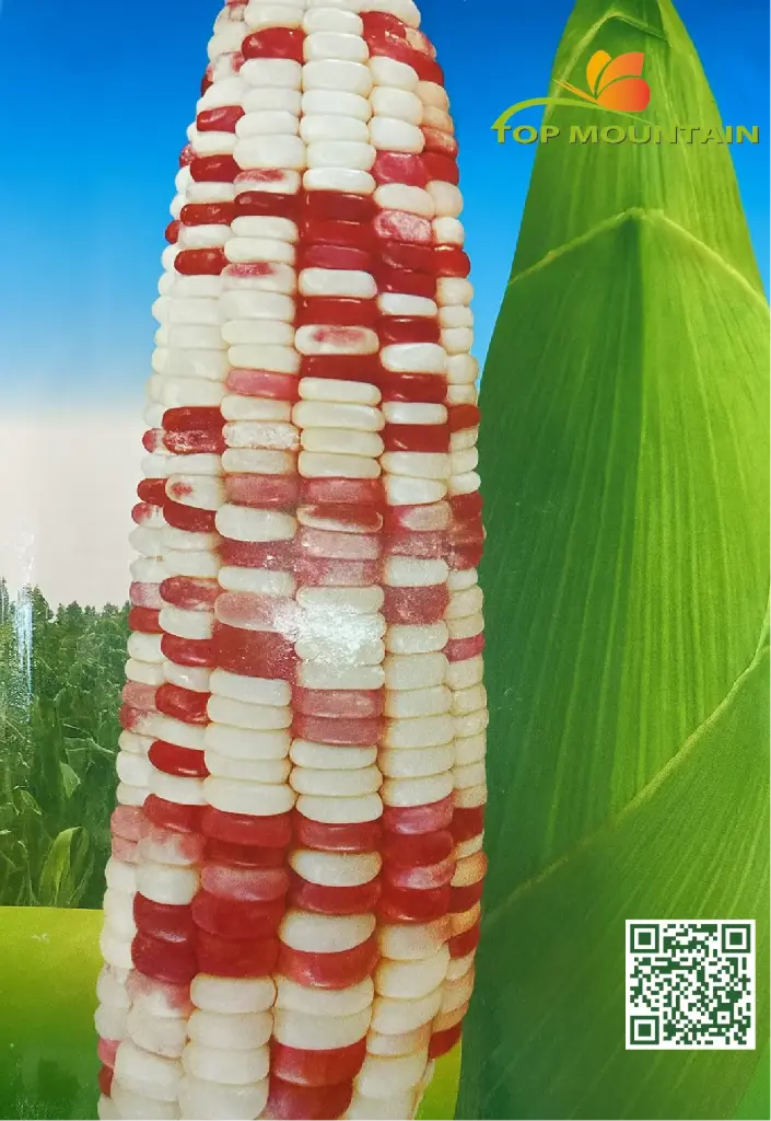 Maïs rouge-blanc 25g