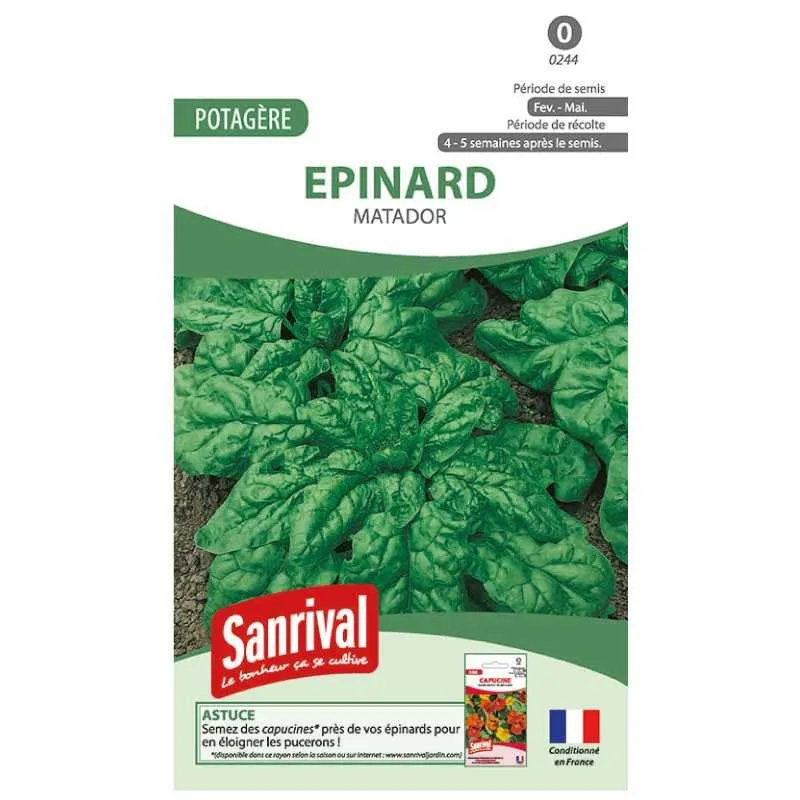 [SSR0019] Epinard / Sanrival 8g