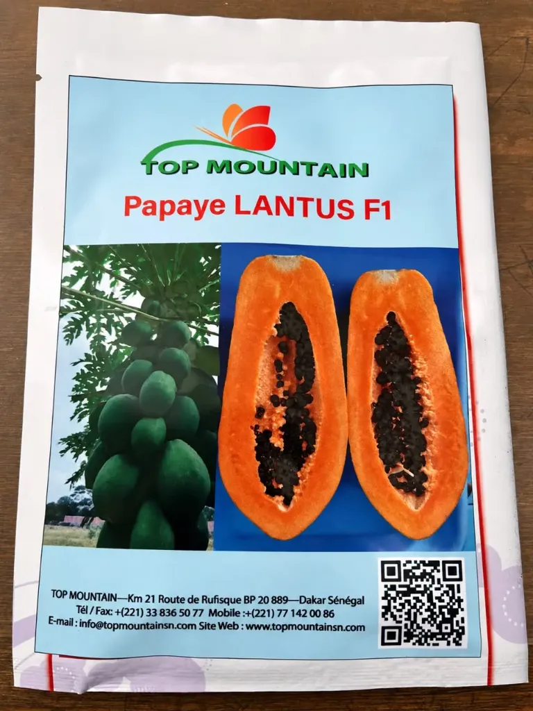 Papaye Lantus F1