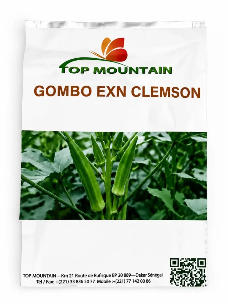 Gombo Exn Clempson