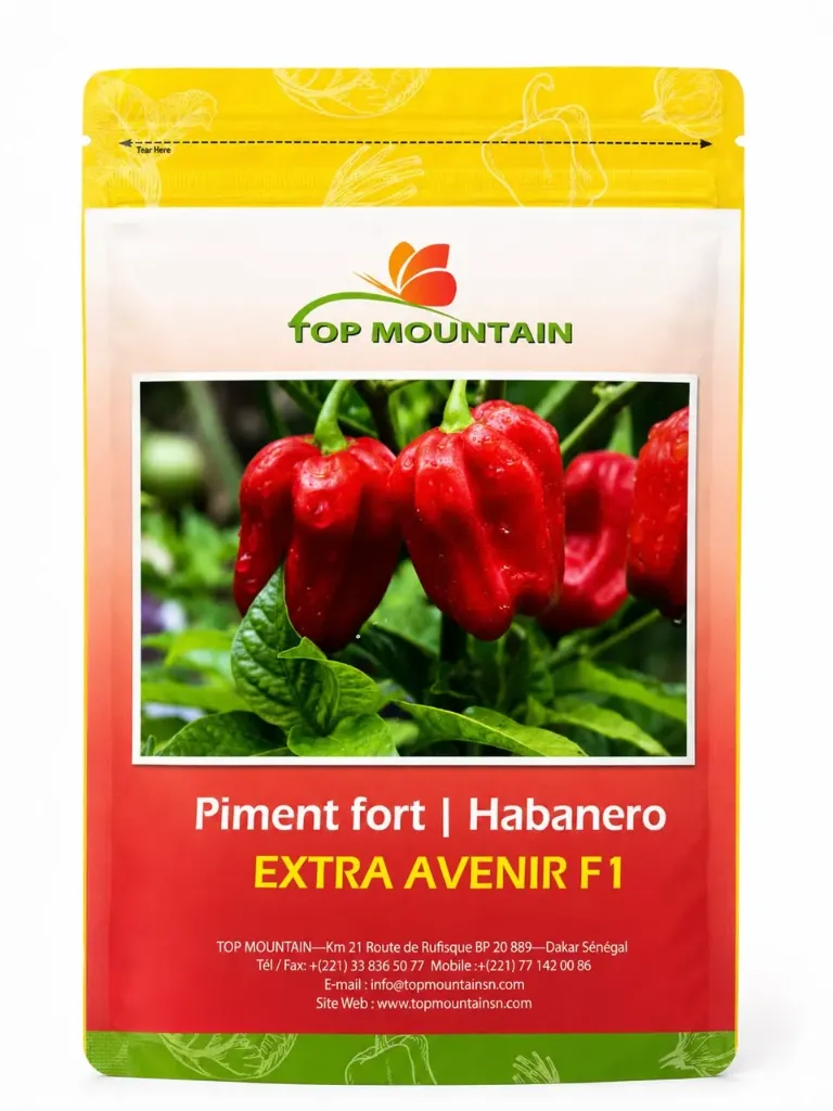 Extra Avenir F1