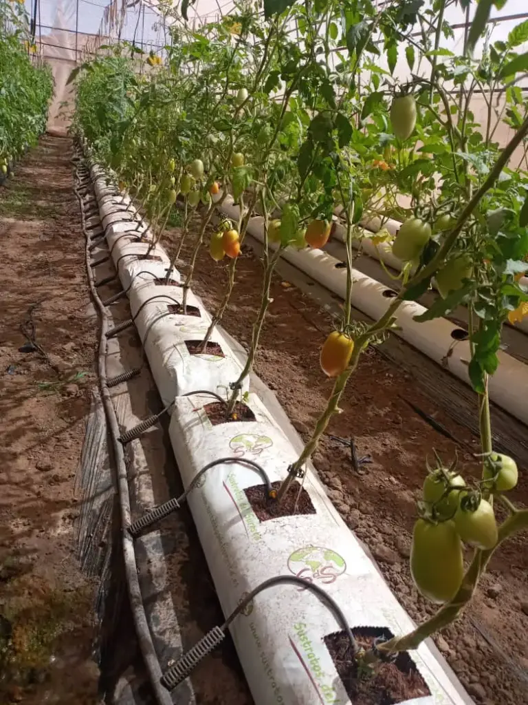 Fibre de coco hors sol sac de 45l