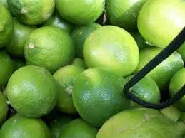 [FRU0003] Citron / en Fruit