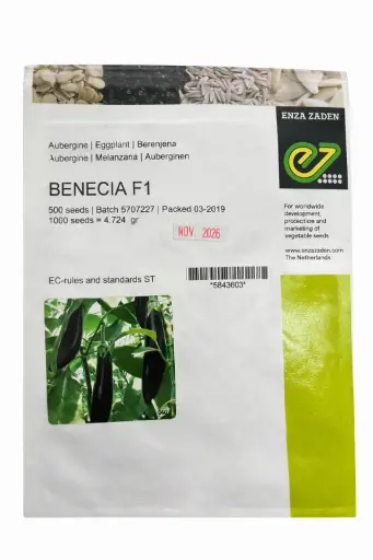 [SEZ0003] Aubergine Bénécia 500 graines F1