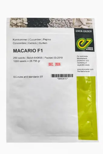 [SEZ0014] Concombre Macario 250 graines F1