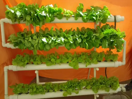 [SHY0002] Système hydroponique Verticale